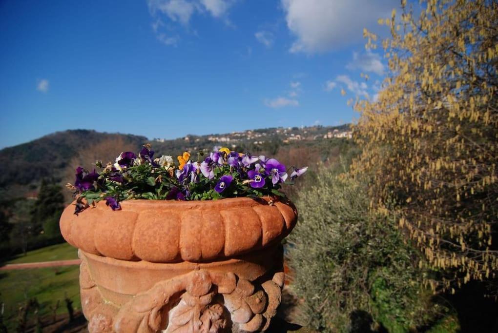 Conca Di Sopra Home Corsanico-Bargecchia Exterior foto